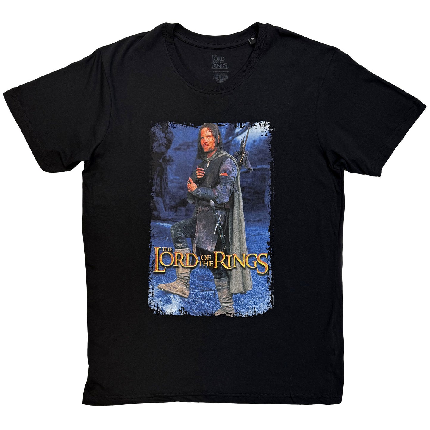 Lord Of The Rings Aragon Standing Homage T-shirt Front