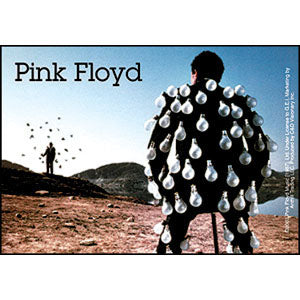 Pink Floyd Delicate Sound Of Thunder (5" x 3.5") Sticker Front