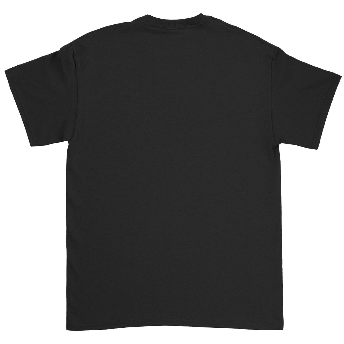 Godsmack - Shinedown IV T-shirt Back