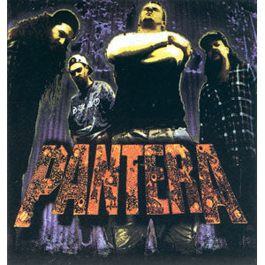 Pantera Sticker Front