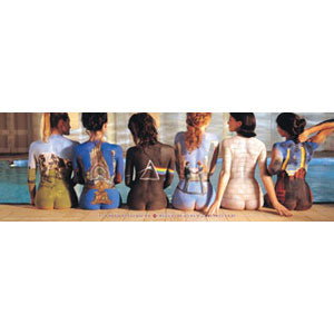 Pink Floyd Back Catalog Slim Print Poster Front