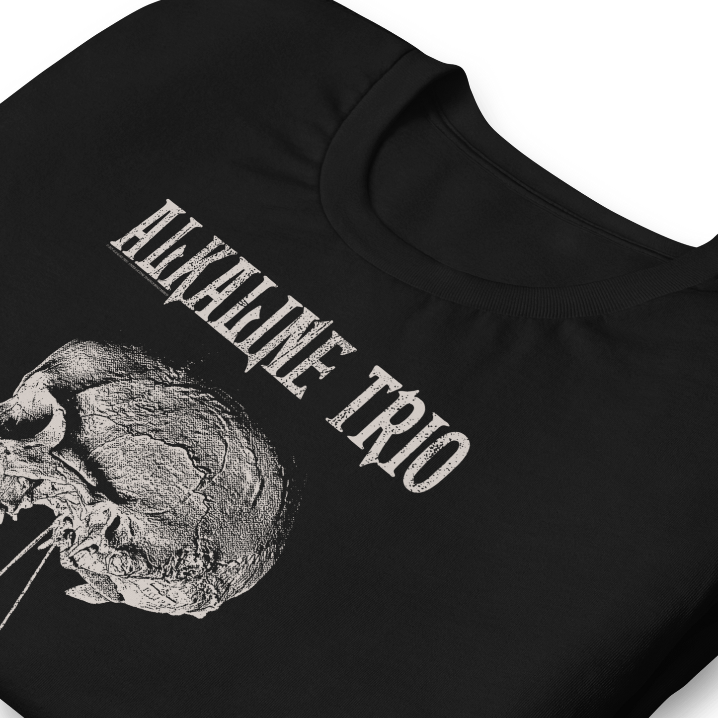 Alkaline Trio Alkaline Trio - Roses Blooming T-Shirt