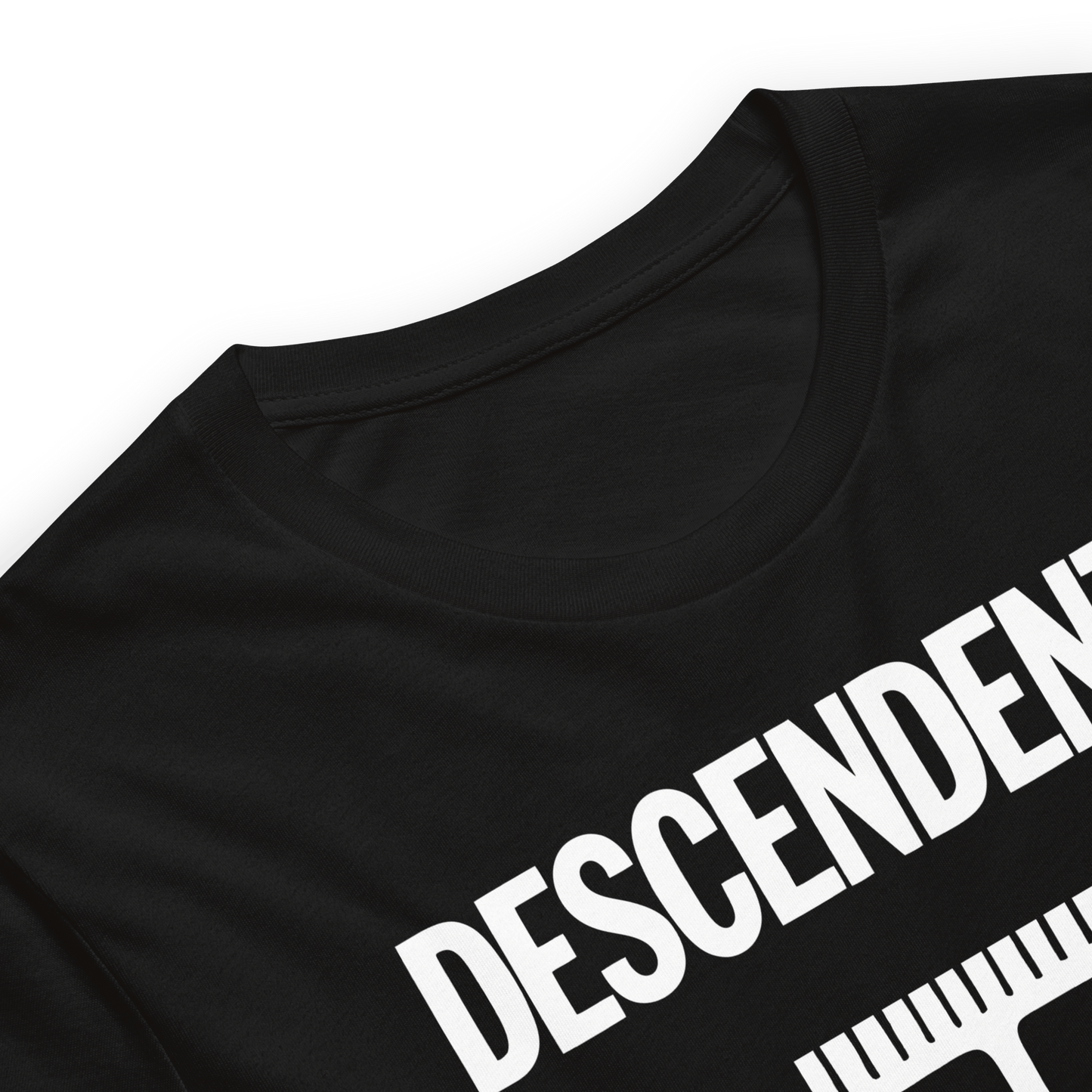 Descendents - Everything Sux T-Shirt