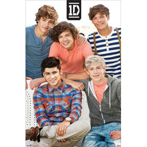 One Direction Group Domestic Poster