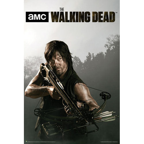 Walking Dead Season 4 Daryl Domestic Poster