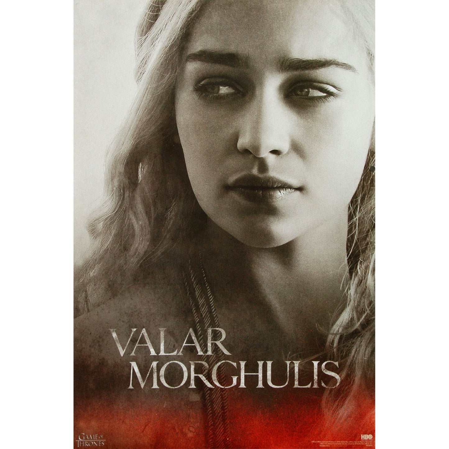 Daenerys Targaryen Domestic Poster