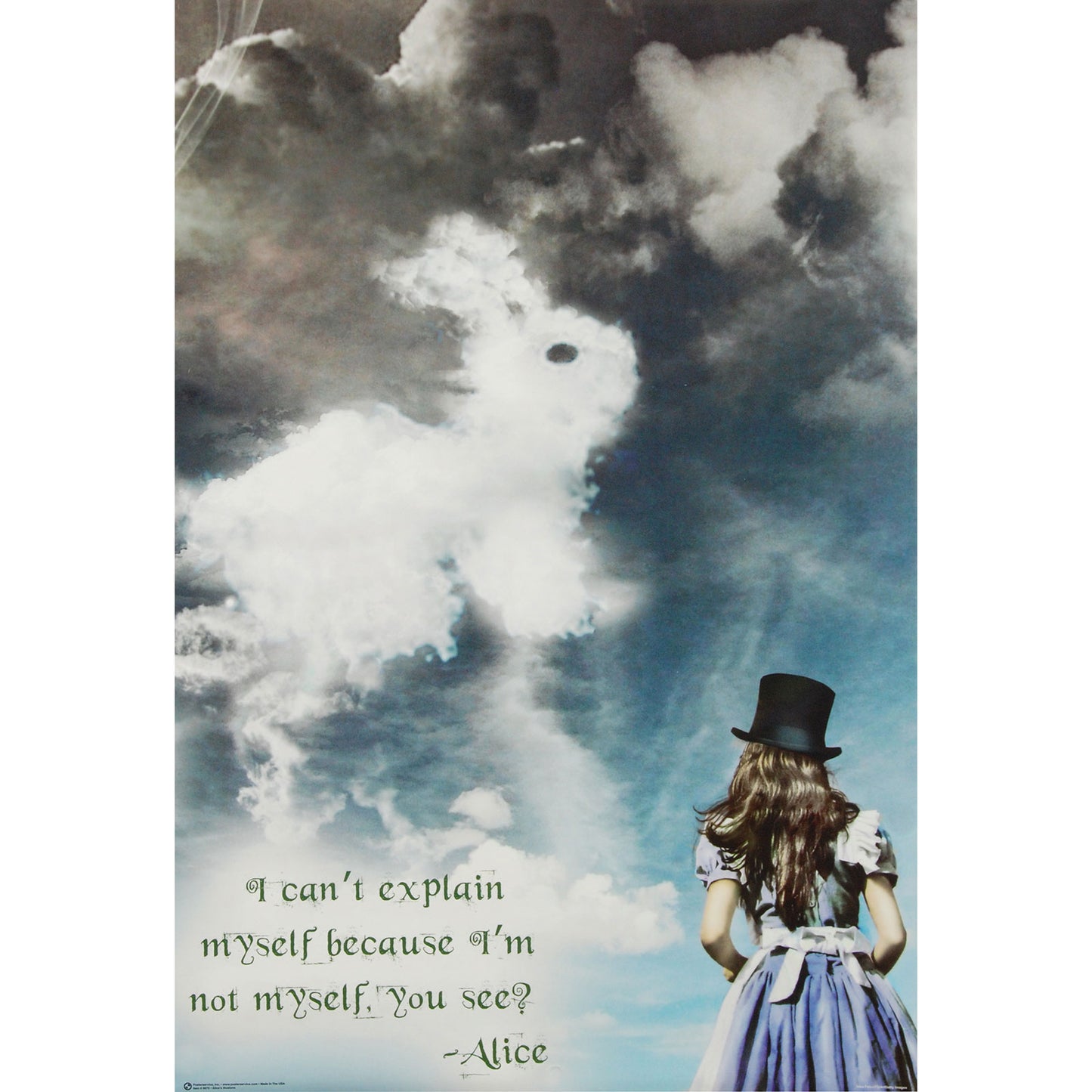 Alice In Wonderland Illusions Domestic Poster