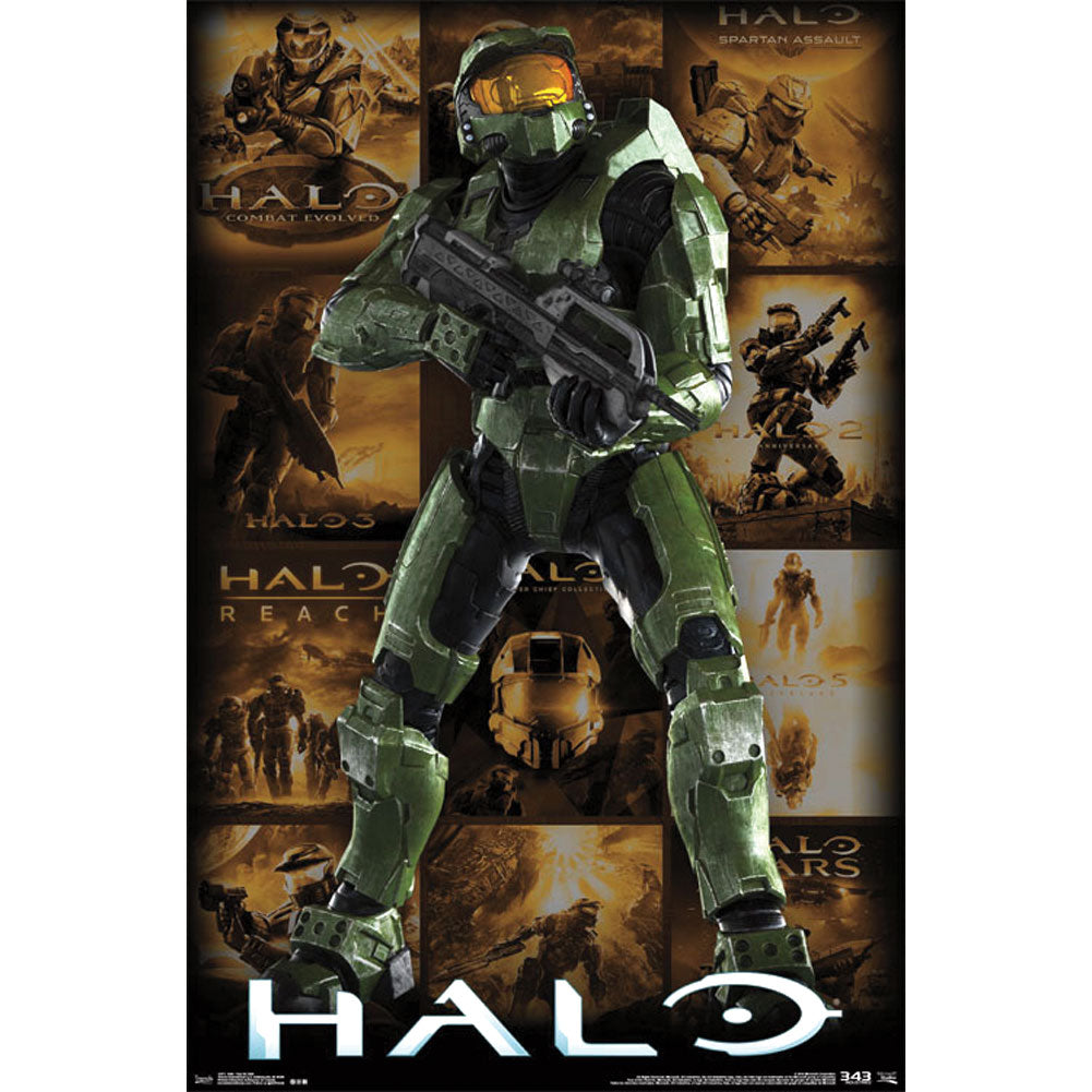 Halo Domestic Poster