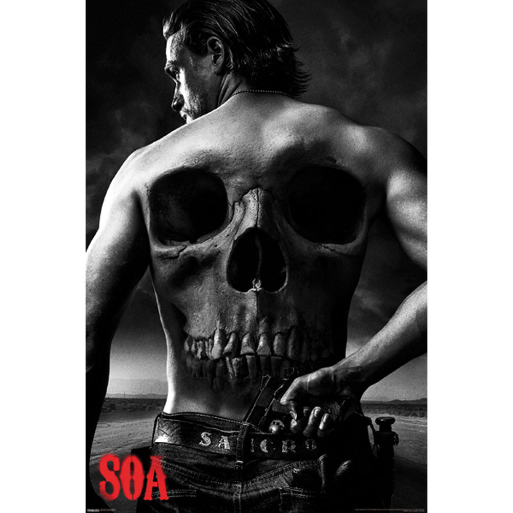 Sons Of Anarchy Domestic Poster