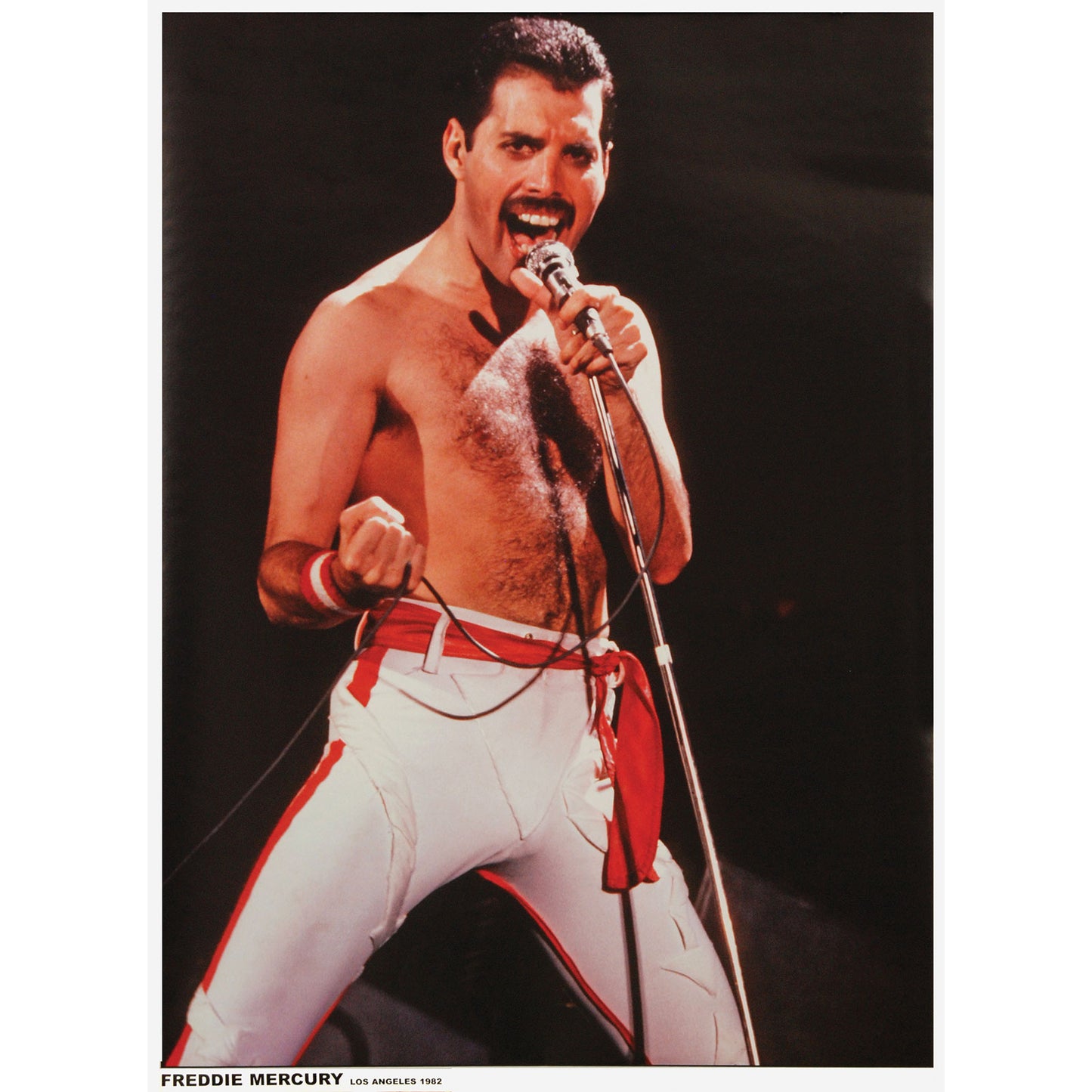 Queen Freddie Mercury Import Poster