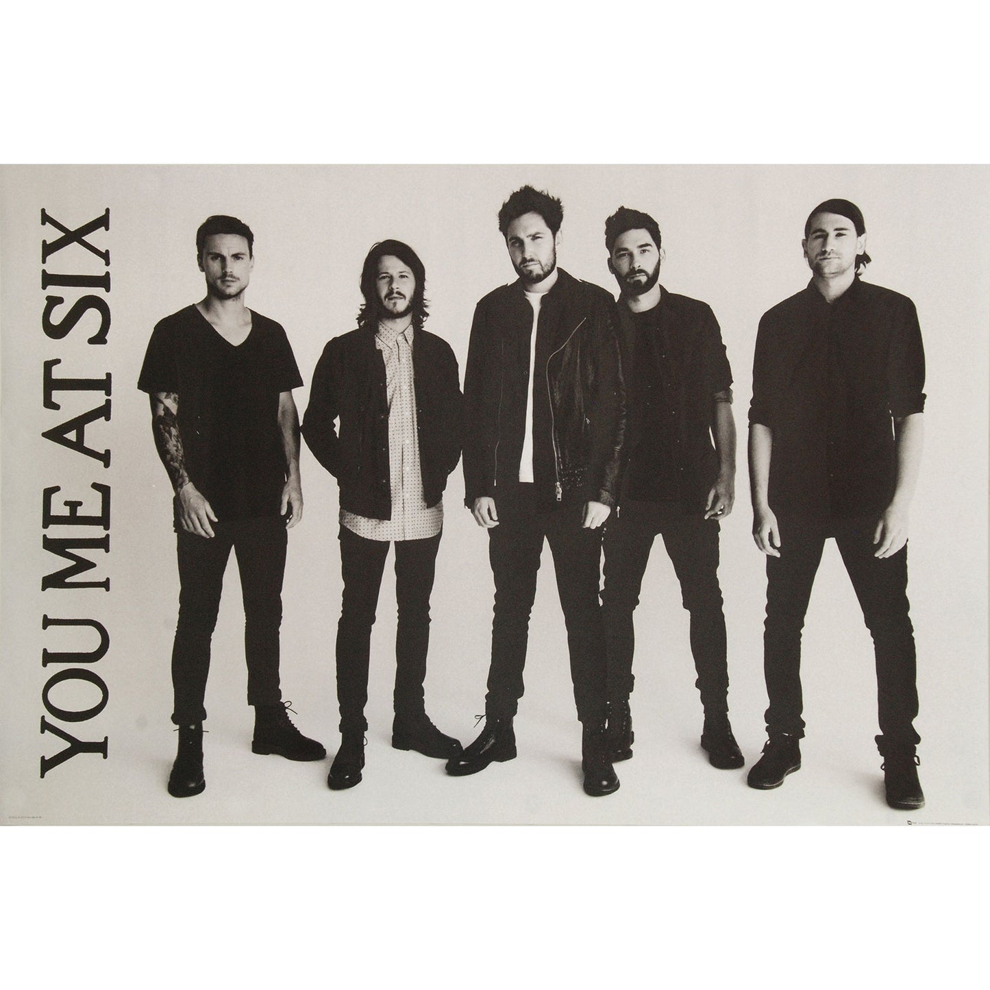 Band Domestic Poster