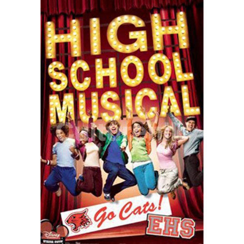 High School Musical Group Domestic Poster