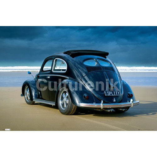 Volkswagen Splitty Domestic Poster