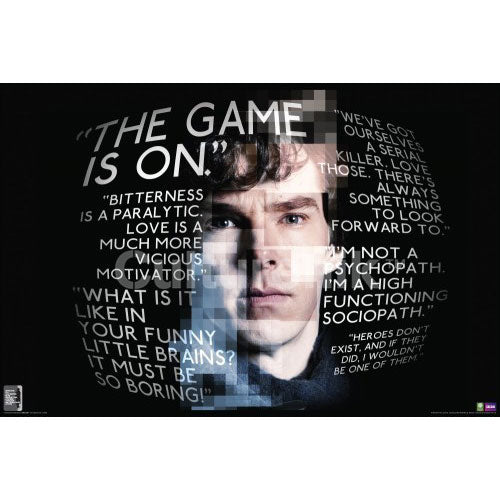 Sherlock Quotes Domestic Poster