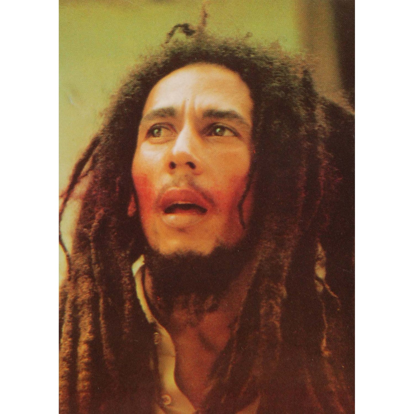 Bob Marley Close-Up Pic 2 Sticker