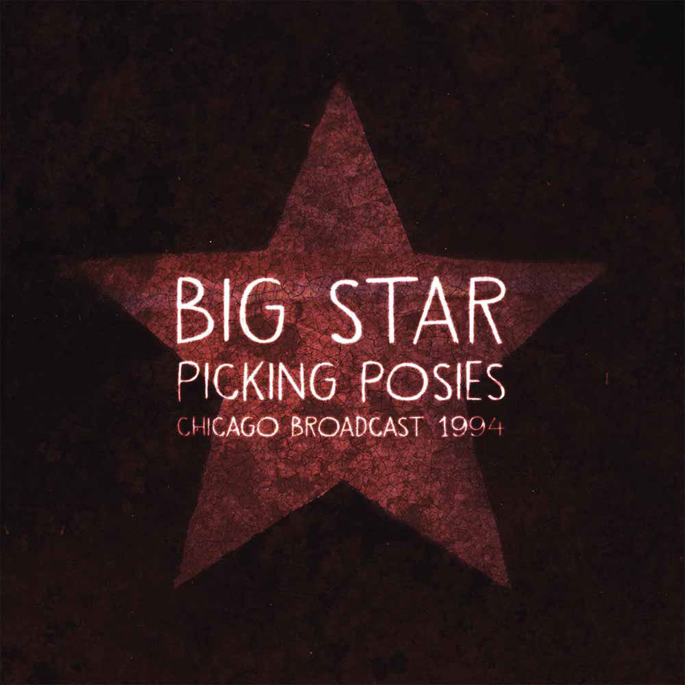 Big Star Picking Posies Vinyl