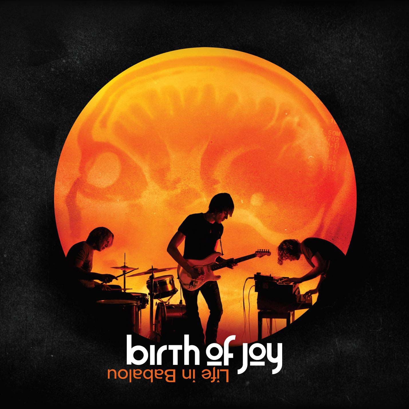 Birth Of Joy Life In Babalou Vinyl