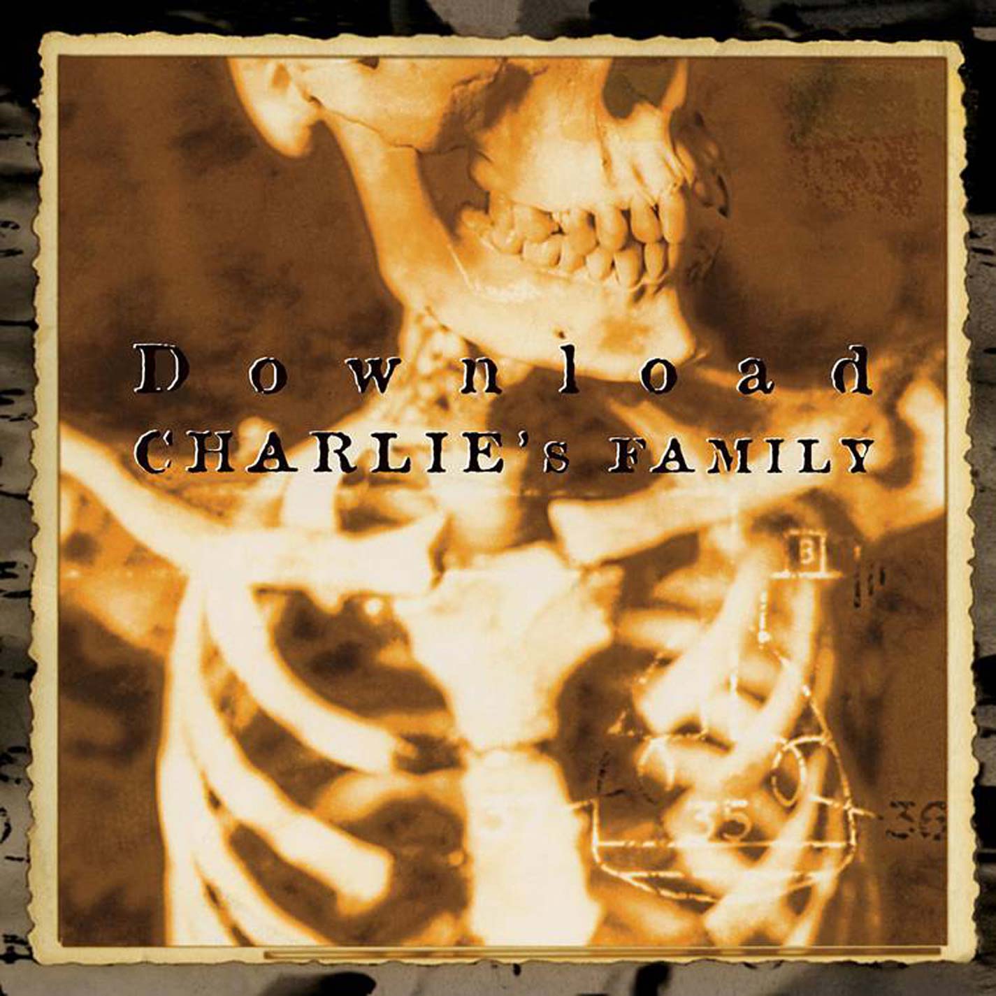 Download Charlie's Family (Pale Grey Vinyl) Vinyl