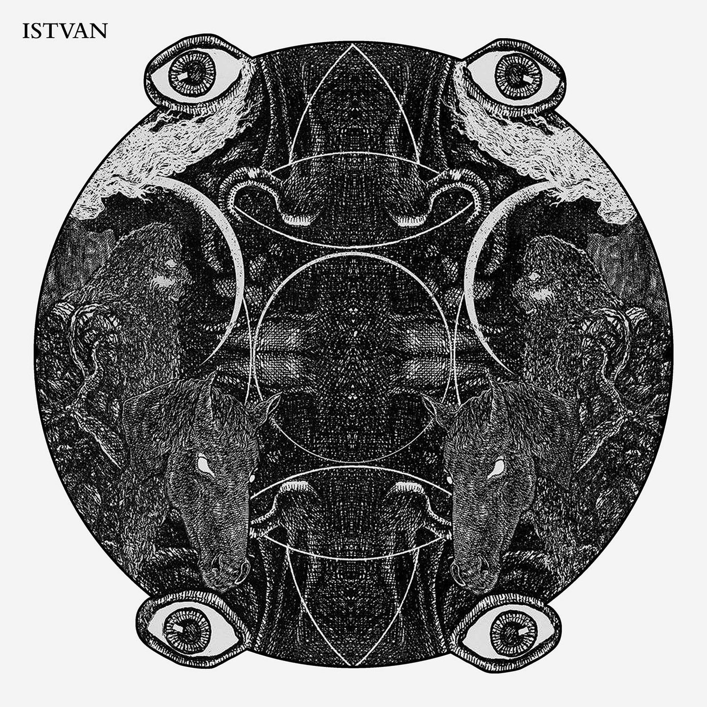 Istvan Istvan Vinyl