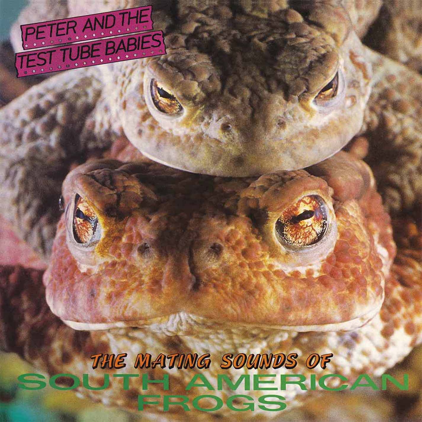 Peter And The Test Tube Babies Mating Sounds Of South American Frogs Vinyl