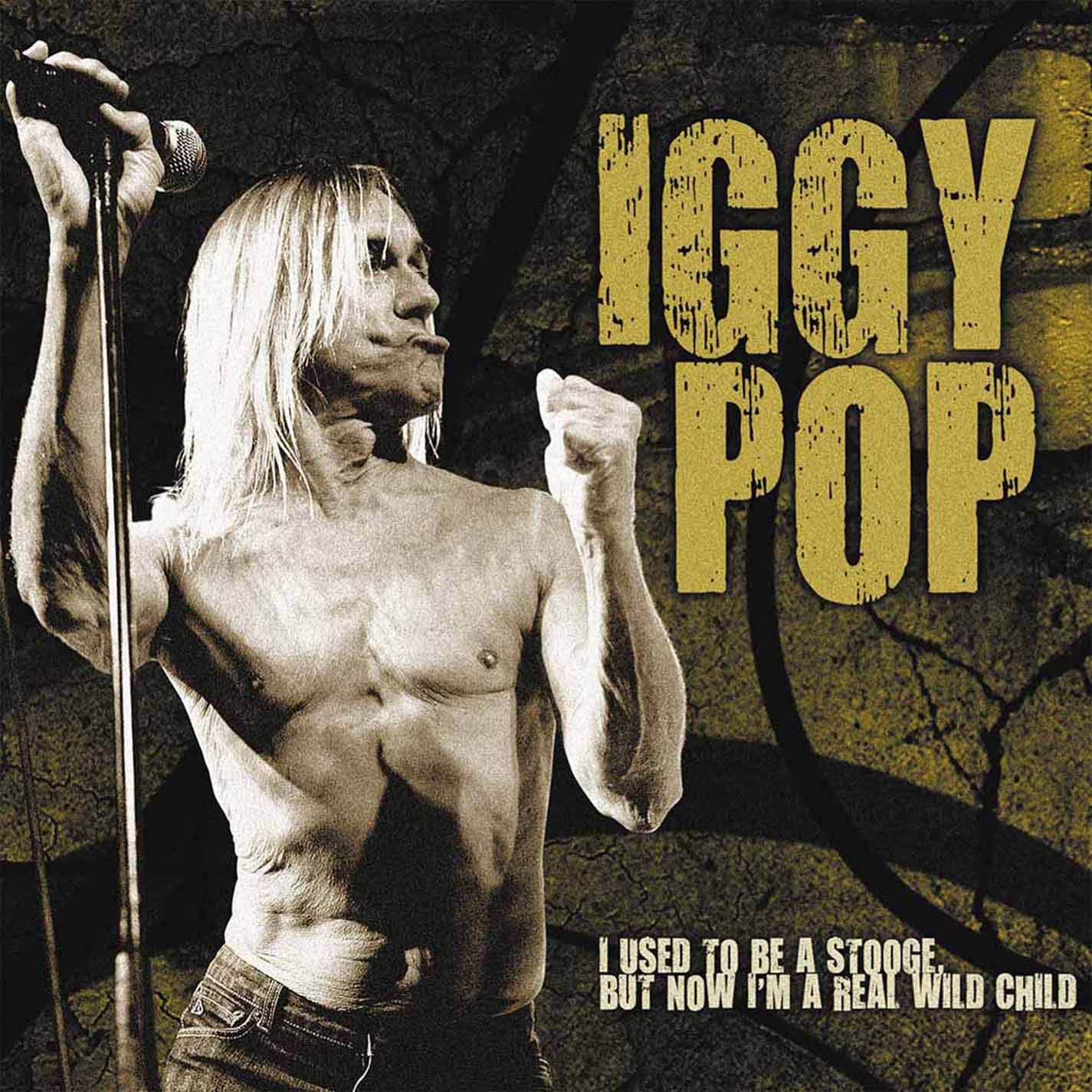 Iggy Pop I Used To Be A Stooge Vinyl