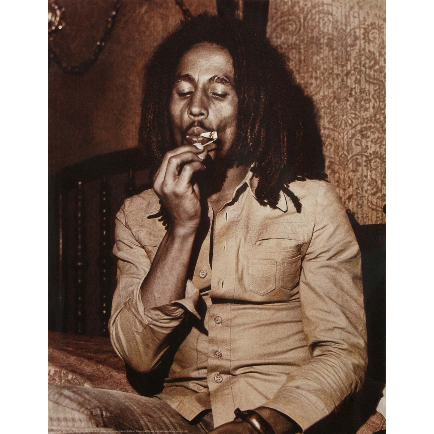 Bob Marley Robert Nesta Domestic Poster