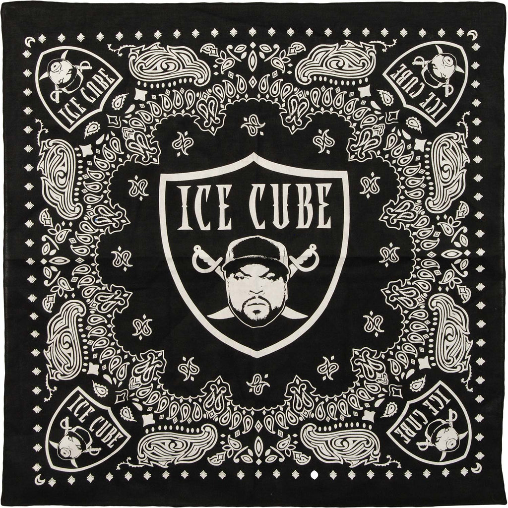 Ice Cube Raiders 