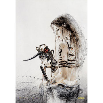 Conceptions Poster Flag