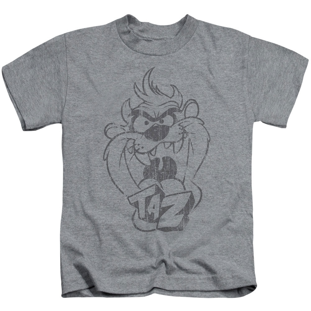 Looney Tunes Faded Taz Juvenile Childrens T-shirt