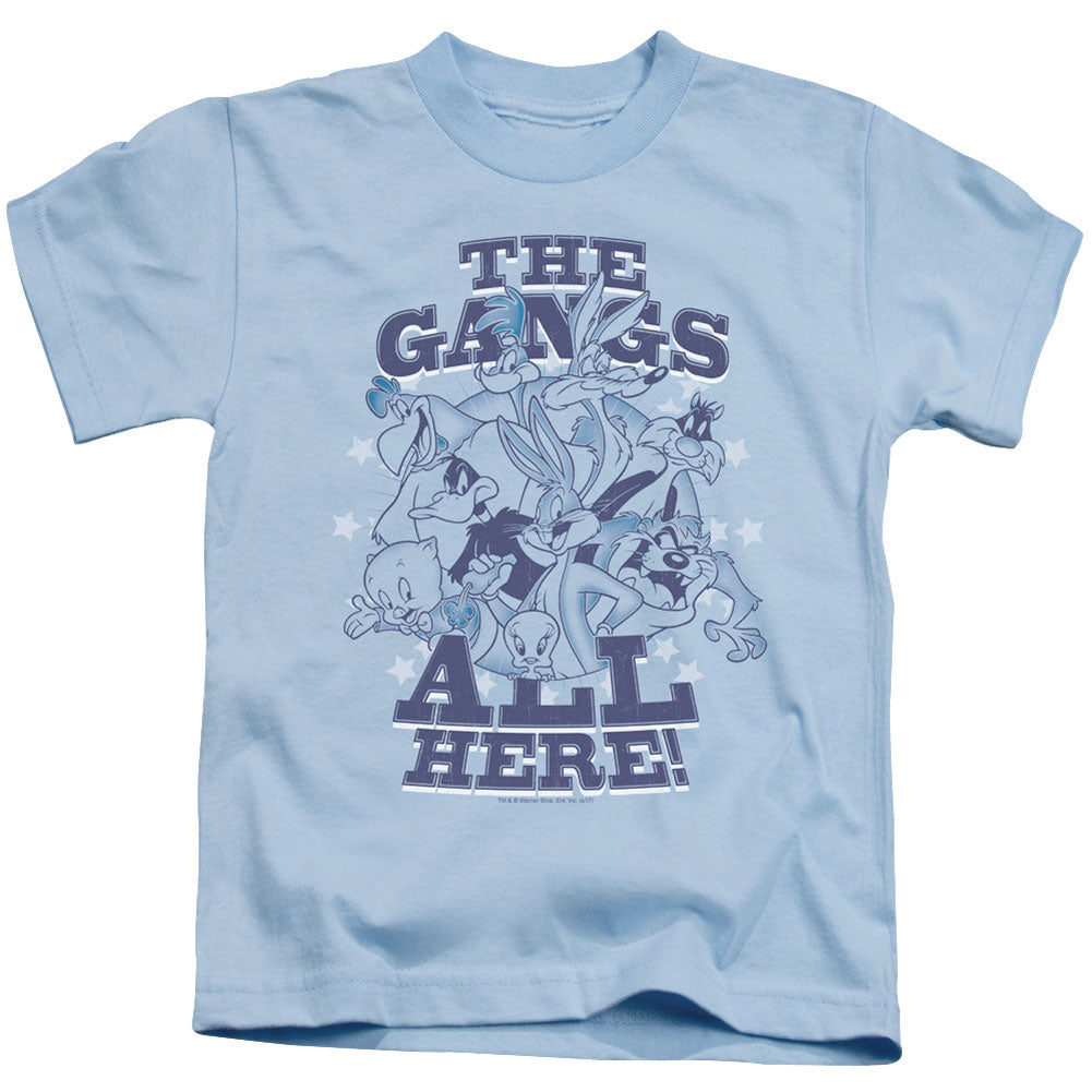 Looney Tunes Blue Gang Juvenile Childrens T-shirt