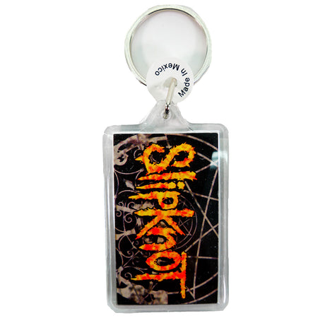 2004 Band Photo & Logo Plastic Key Chain