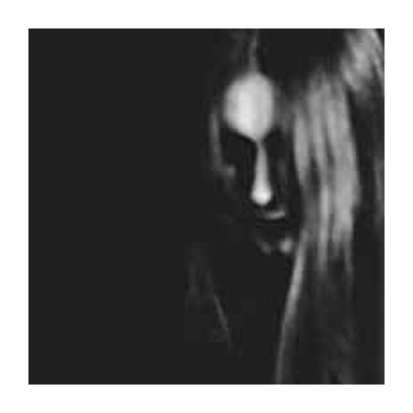 Taake Over Bjoergvin Graater Himmerik Vinyl LP Vinyl