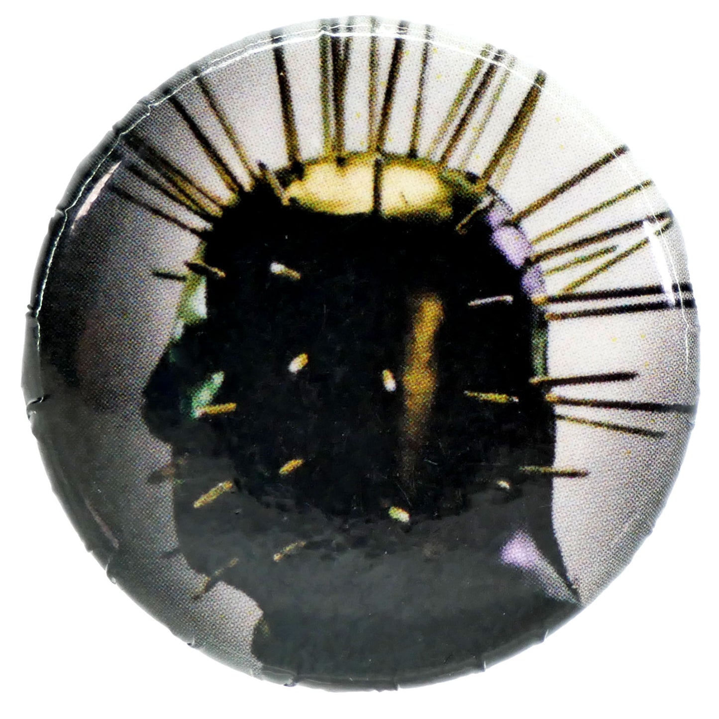 Craig Jones Button