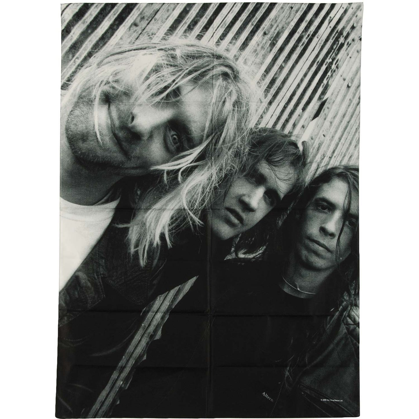 Nirvana Band Shot Poster Flag