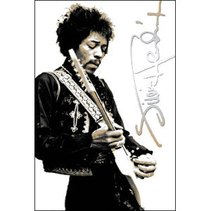 Jimi Hendrix Domestic Poster