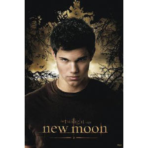 Twilight Domestic Poster