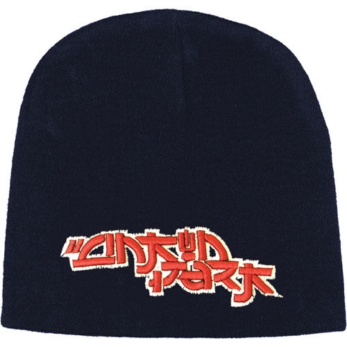 3D LP Beanie