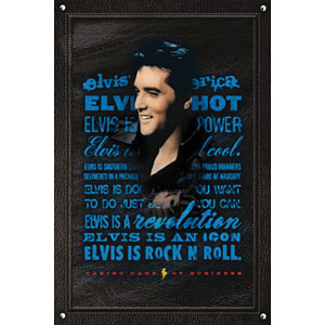 Elvis Presley Rock N Roll Domestic Poster