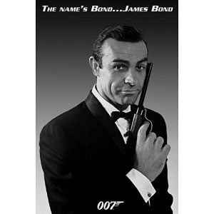 James Bond The Name's Bond Domestic Poster
