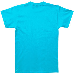 Dashboard Confessional Winged Lions T-shirt
