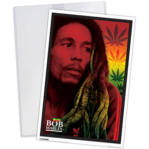 Bob Marley Dreads Poster Print Front