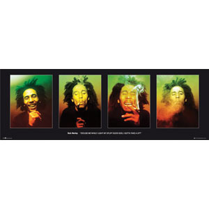 Bob Marley Excuse Me Door Poster Front