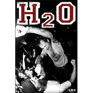 H20 Live Pic Domestic Poster