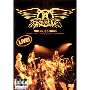 Aerosmith DVD