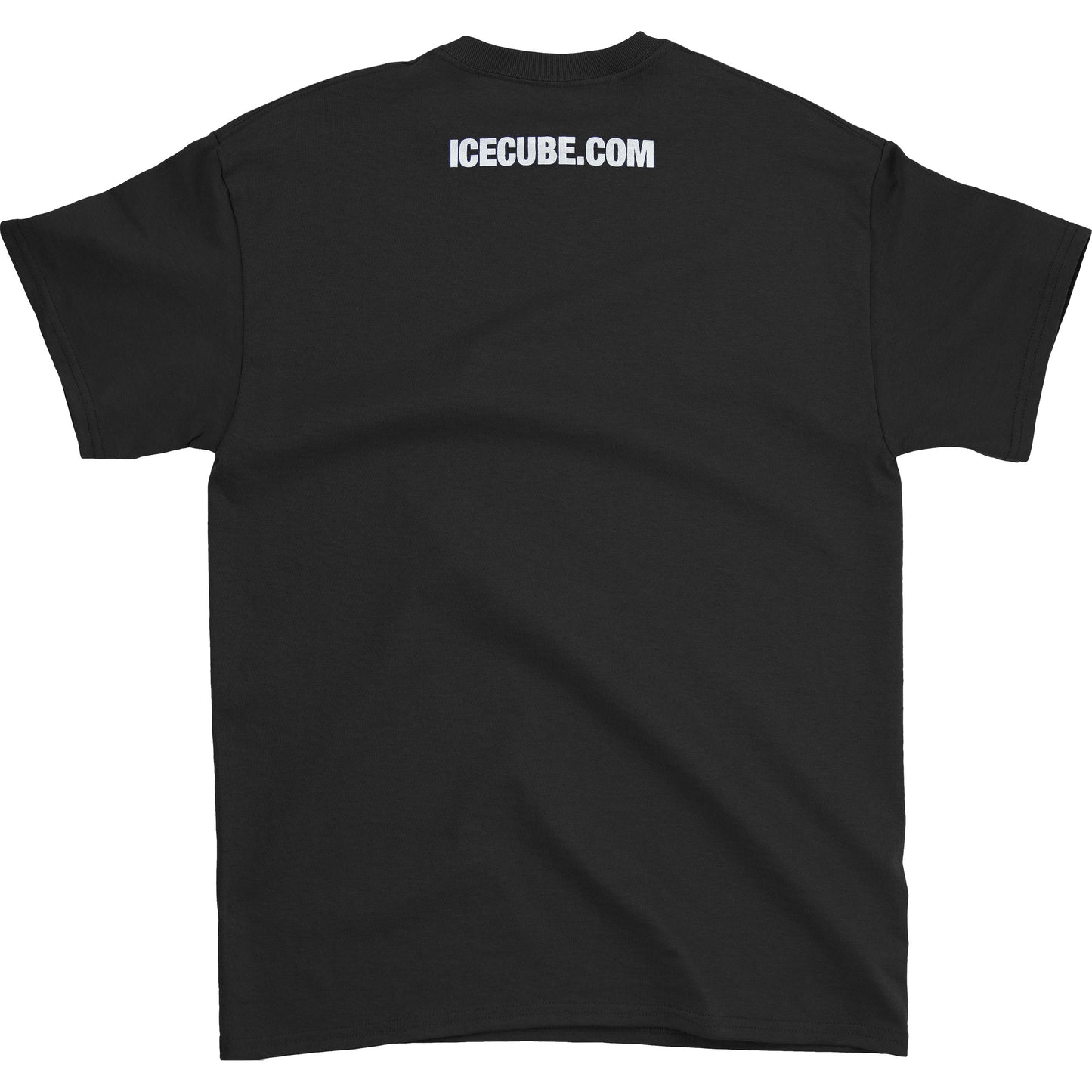 Ice Cube Raider T-shirt Back