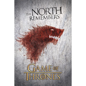 Game Of Thrones The North Domestic Poster Front