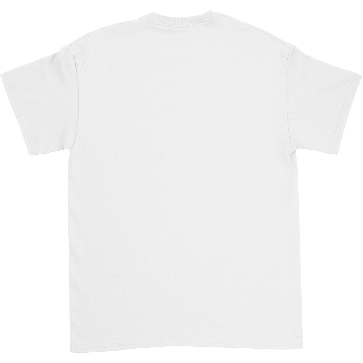 Fabulous Thunderbirds Classic Wings Logo T-shirt Back