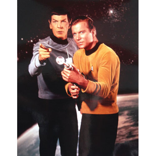 Star Trek Kirk And Spock Domestic Poster