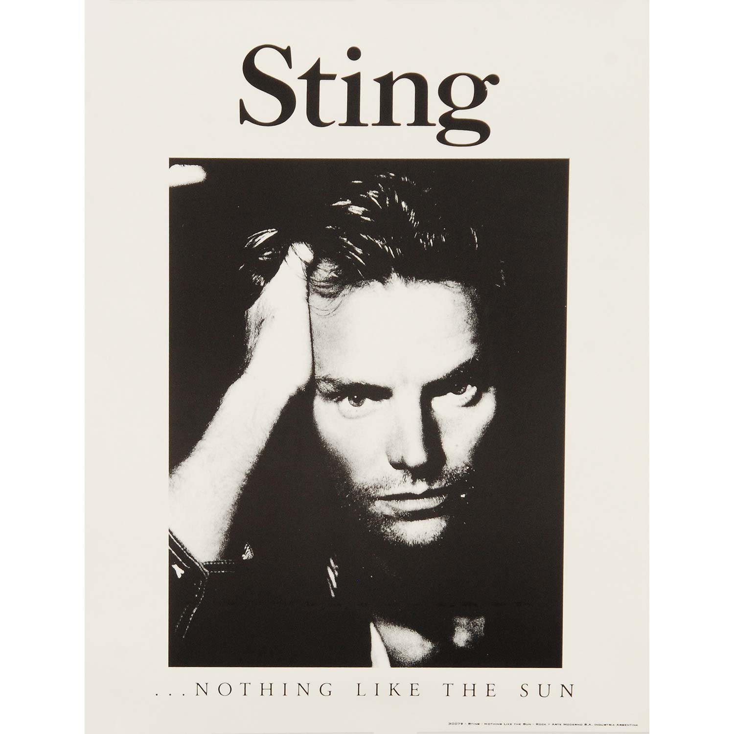 Nothing Like The Sun Import Poster