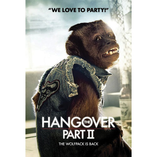 Hangover Movie Sheet Domestic Poster